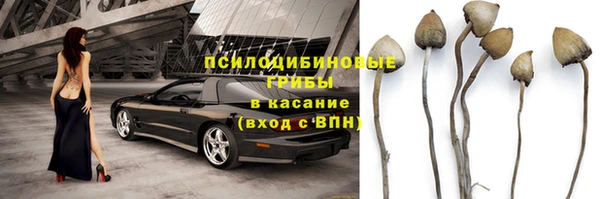 jwh Краснослободск