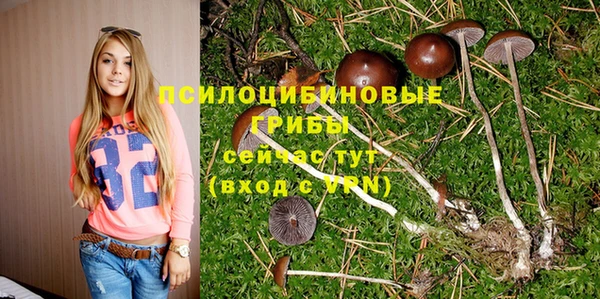 ПСИЛОЦИБИНОВЫЕ ГРИБЫ Красноперекопск