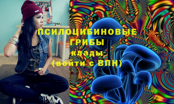 ПСИЛОЦИБИНОВЫЕ ГРИБЫ Красноперекопск