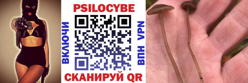 Псилоцибиновые грибы Psilocybine cubensis  Купить где  Тейково 