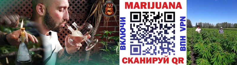 Купить где  Тейково  Шишки марихуана MAZAR 